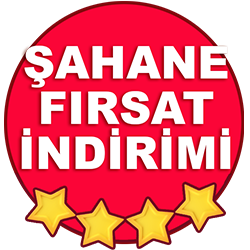 sahane_logo.png (129 KB)