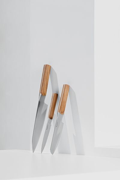 BerhgHOFF DINA ION 3'lü bıçak seti - 3