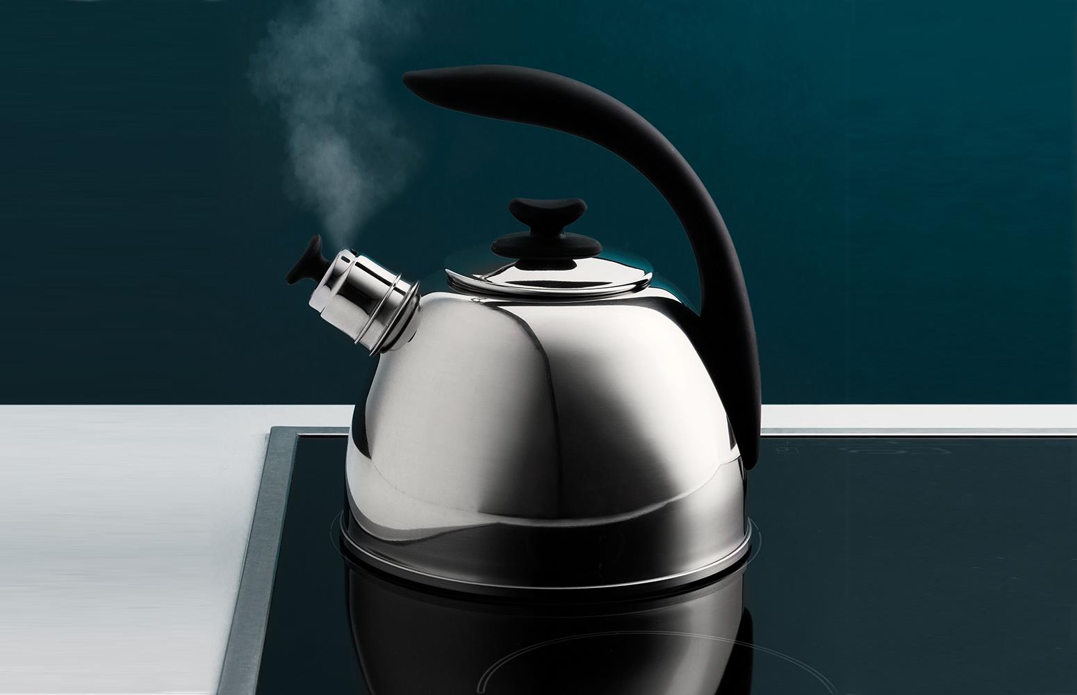 Berghoff Essentials Paslanmaz Çelik Düdüklü Su Isıtıcı 2,5 lt - 1