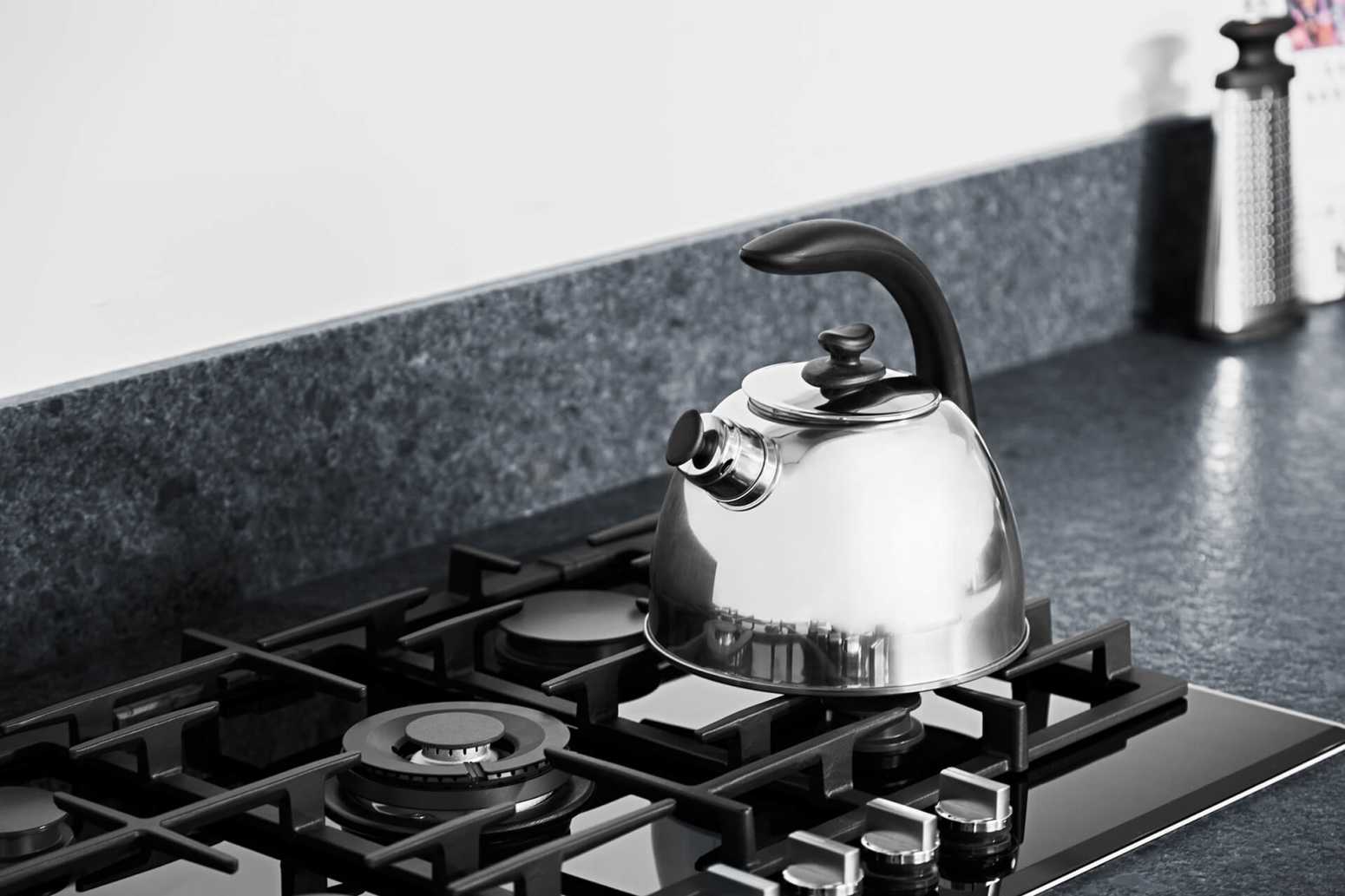 Berghoff Essentials Paslanmaz Çelik Düdüklü Su Isıtıcı 2,5 lt - 3