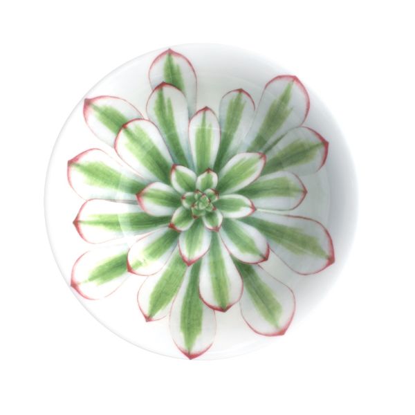 Taitu Desert Rose Fine Bone 17Cm 2Li Kase Seti