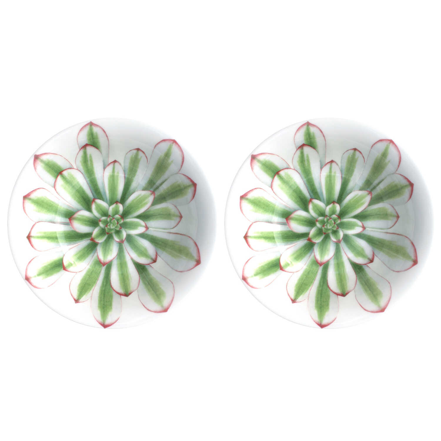 Taitu Desert Rose Fine Bone 17Cm 2Li Kase Seti - 5