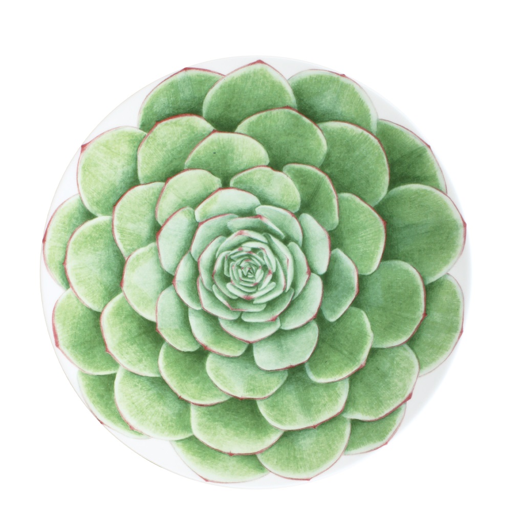 Taitu Desert Rose Fine Bone 23Cm 4Lu Tabak Seti - 1