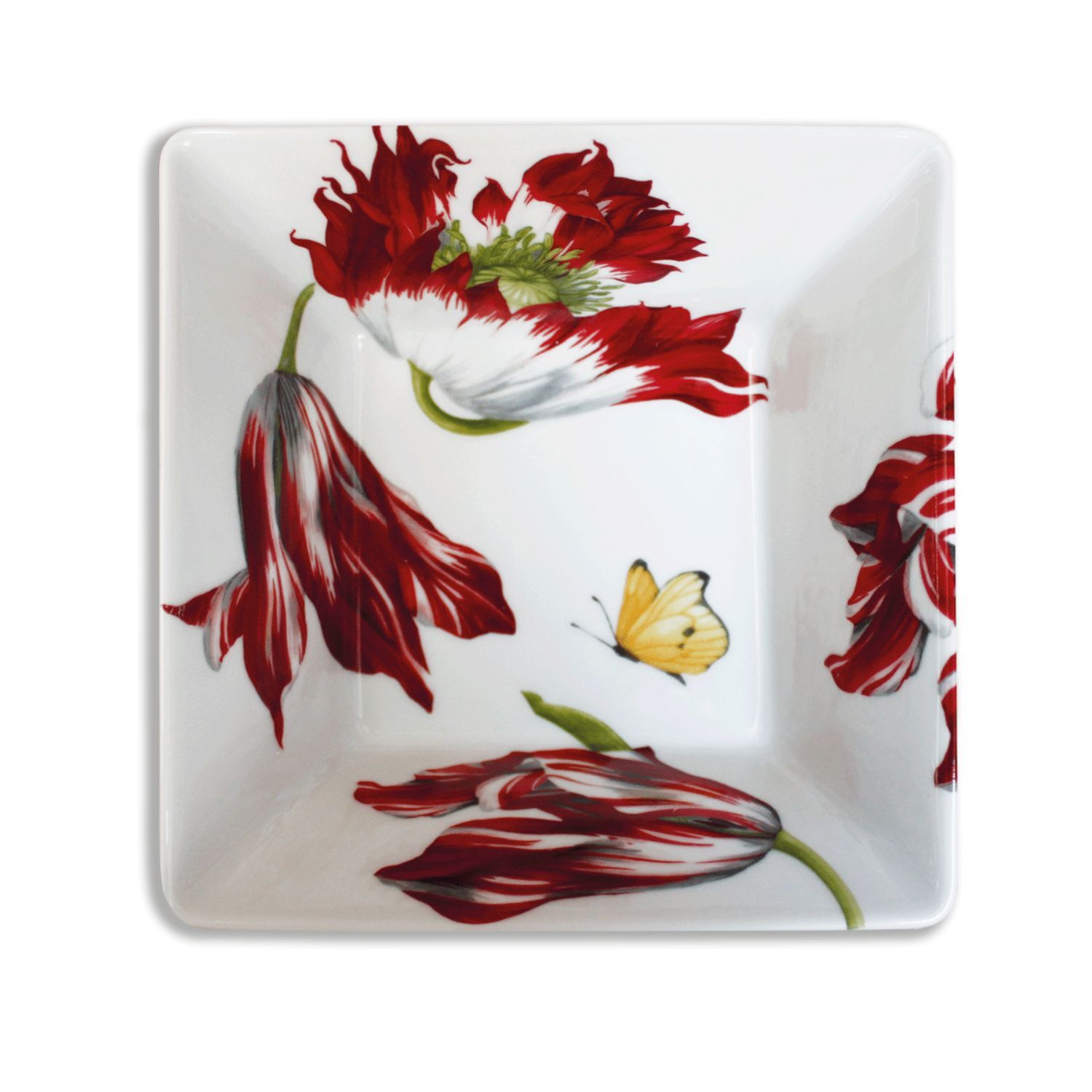 Taitu Emotion Fine Bone 16Cm Kase - 2