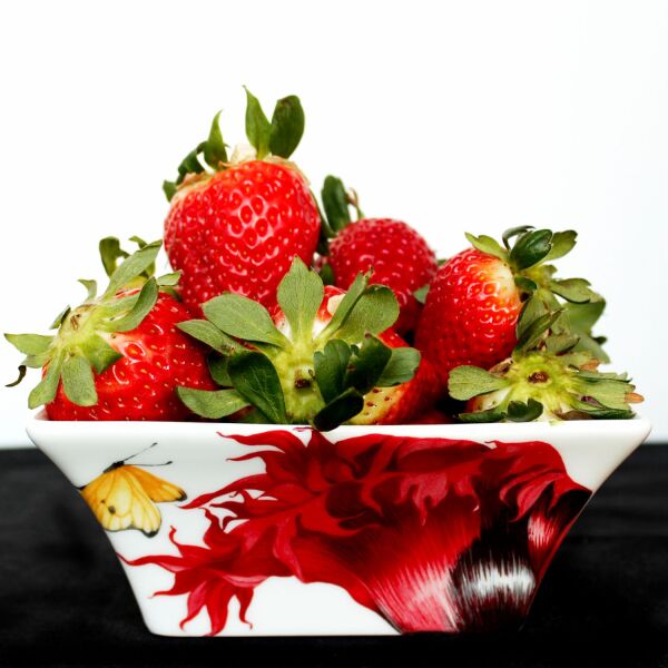 Taitu Emotion Fine Bone 16Cm Kase - 4