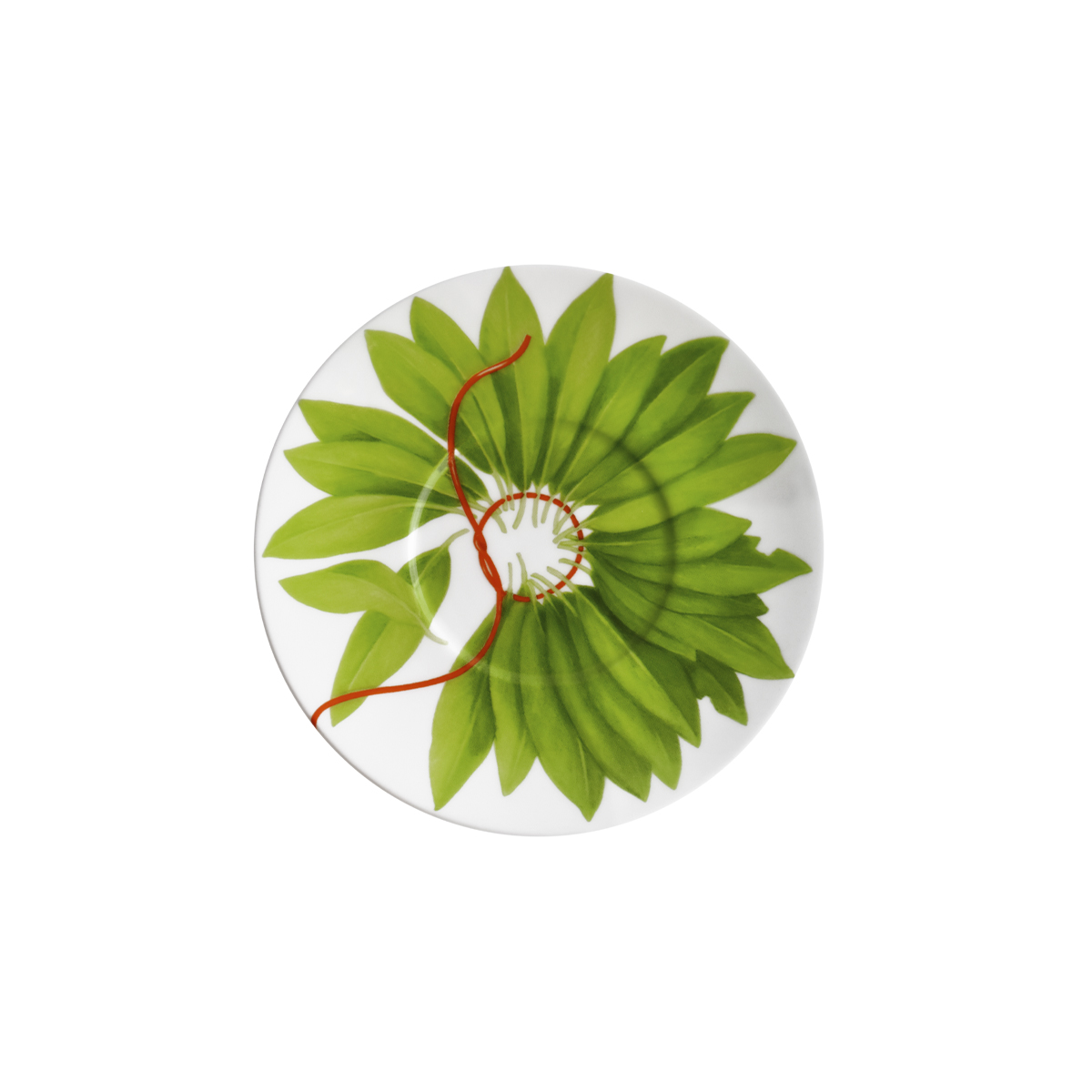 Taitu Fil Rouge Foglie Fine Bone 100Ml 4Lu Kahve Fincani Seti - 4