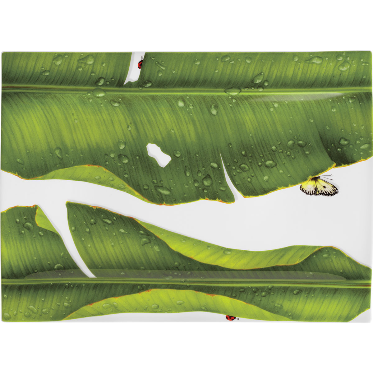 Taitu Freedom Fine Bone 40Cm Dikdörtgen Tabak - 1