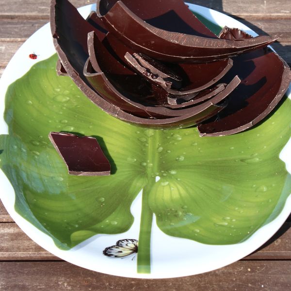 Taitu Freedom Fine Bone 41Cm Oval Tabak (1)