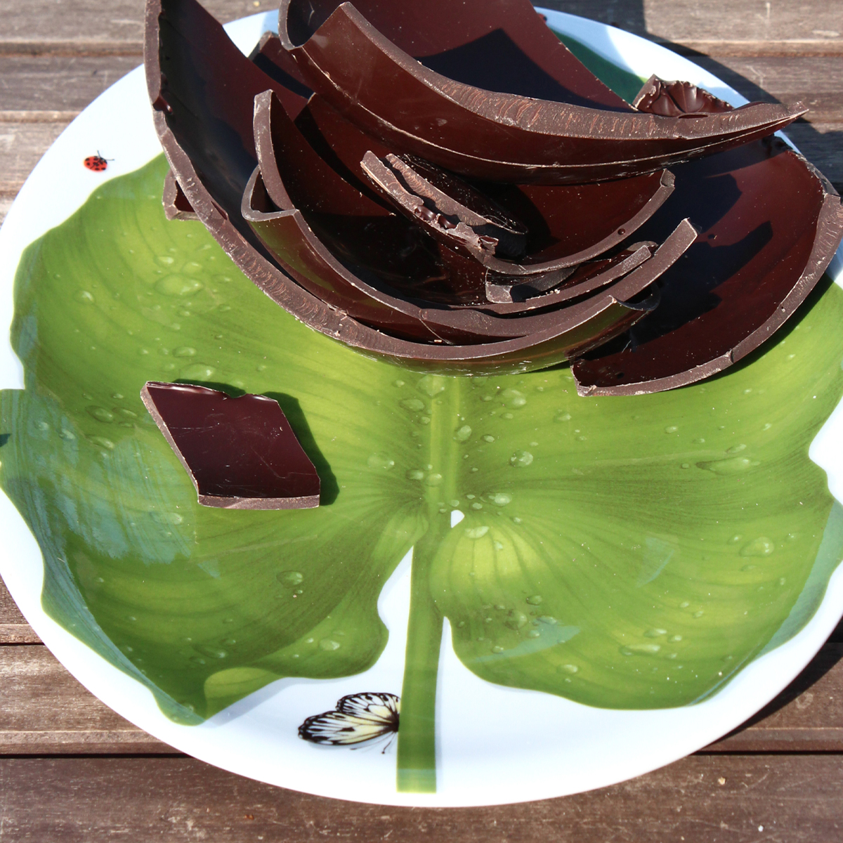 Taitu Freedom Fine Bone 41Cm Oval Tabak - 2