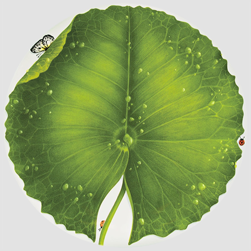 Taitu Freedom Fine Bone 33Cm Tabak - 1