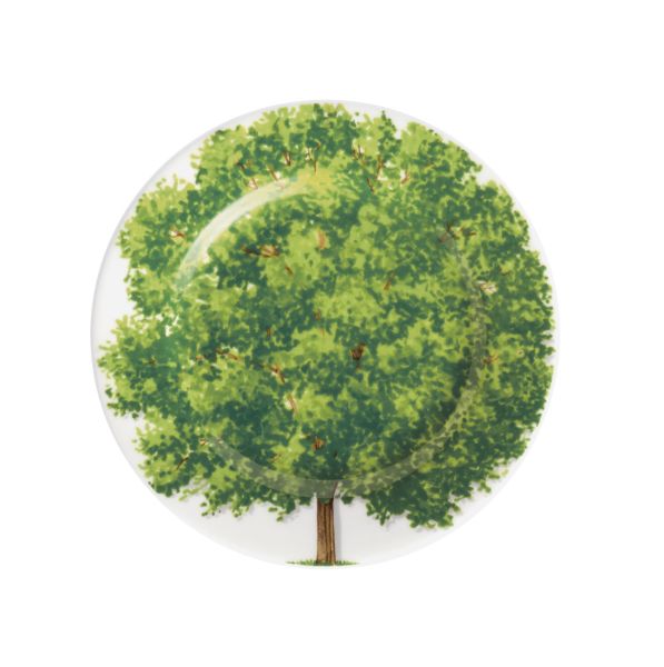 Taitu Freedom Fine Bone 16Cm 4Lu Tabak Seti (1)