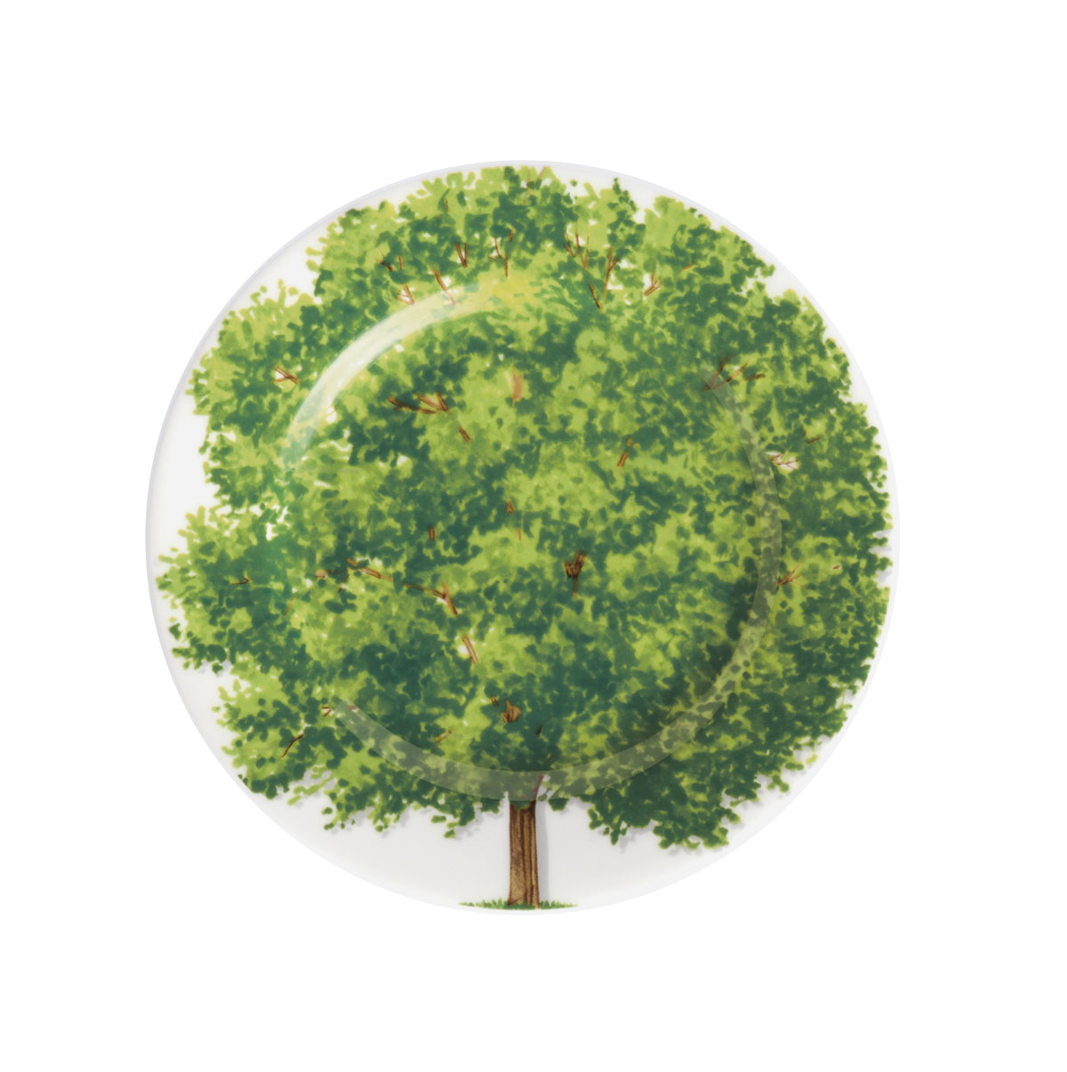 Taitu Freedom Fine Bone 16Cm 4Lu Tabak Seti - 2