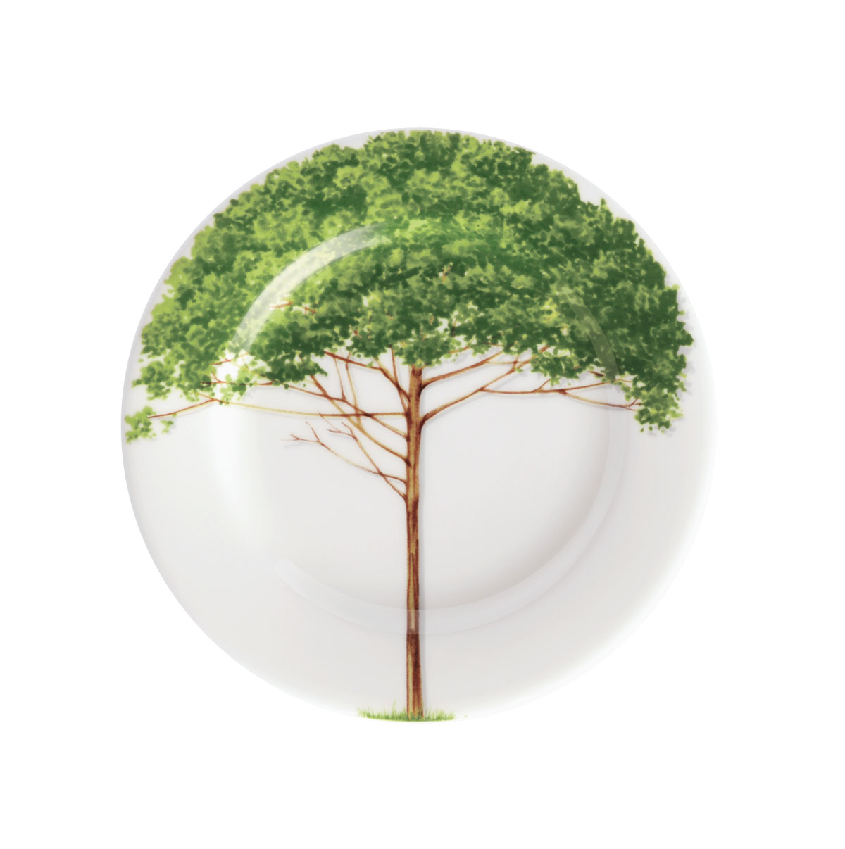 Taitu Freedom Fine Bone 16Cm 4Lu Tabak Seti - 3