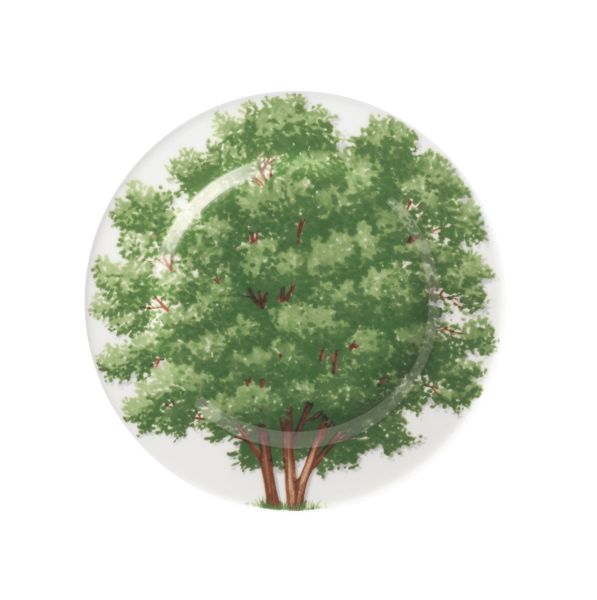 Taitu Freedom Fine Bone 16Cm 4Lu Tabak Seti - 4