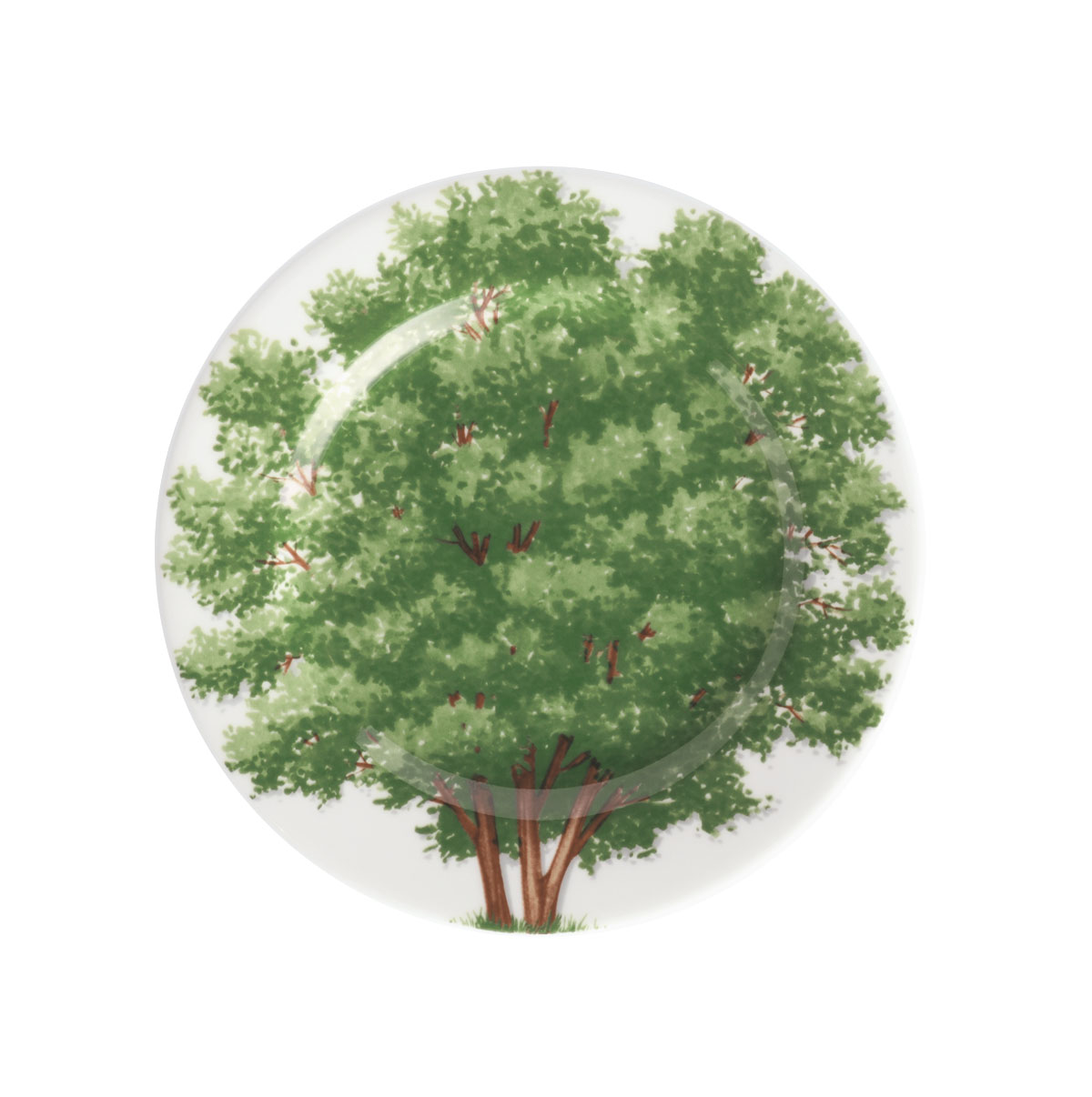 Taitu Freedom Fine Bone 16Cm 4Lu Tabak Seti - 4