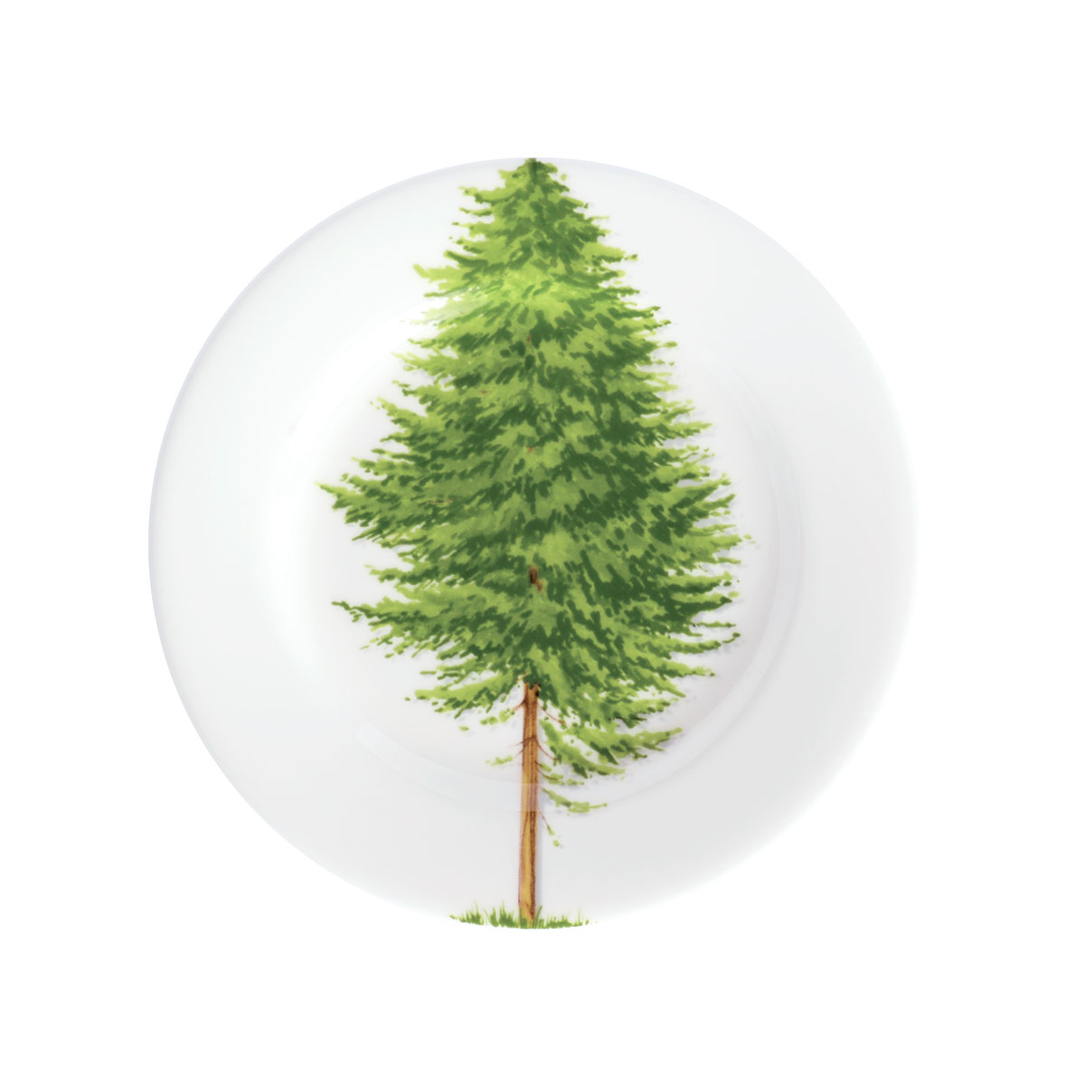 Taitu Freedom Fine Bone 16Cm 4Lu Tabak Seti - 5