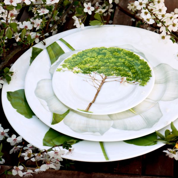 Taitu Freedom Fine Bone 16Cm 4Lu Tabak Seti - 6