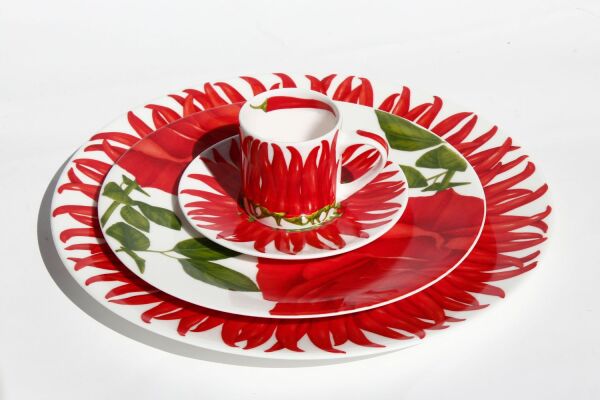 Taitu Red Bone 100Ml 4Lu Kahve Fincani Seti (1)