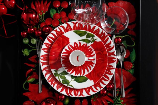 Taitu Red Fine Bone 28Cm 4Lu Tabak Seti - 4