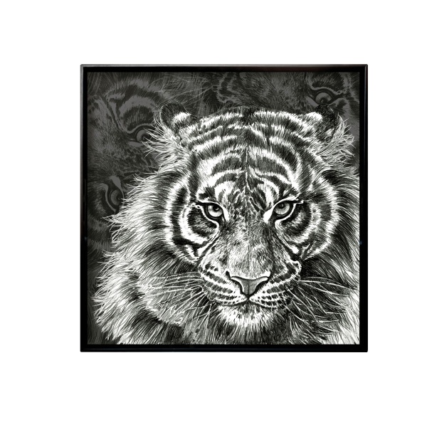 Taitu Wild Spirit Kaplan 45Cm Kare Tepsi